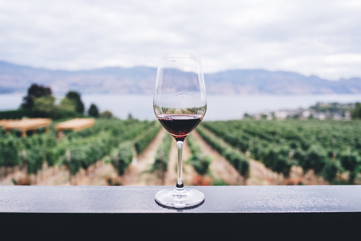 Bordeaux vs Bourgogne : quelles différences entre ces deux géants du vin ?