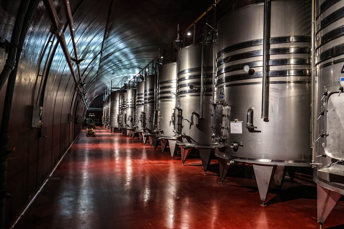 Les 10 meilleurs vins français à moins de 15 € en 2026